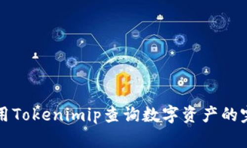如何使用Tokenimip查询数字资产的完整指南