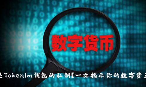 什么是Tokenim钱包的私钥？一文揭示你的数字资产安全