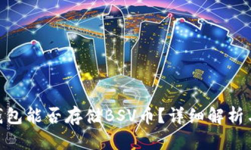 Tokenim钱包能否存储BSV币？详细解析与使用指南