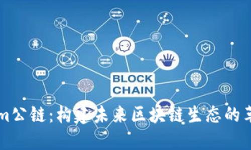 Tokenim公链：构建未来区块链生态的革新平台