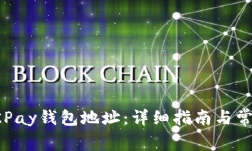 如何生成OKPay钱包地址：详细指南与常见问题解答