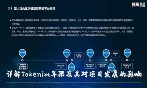详解Tokenim年限及其对项目发展的影响