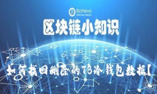 如何找回删除的TB冷钱包数据？