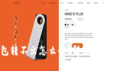 冷钱包转不出怎么办？解决方法大解析