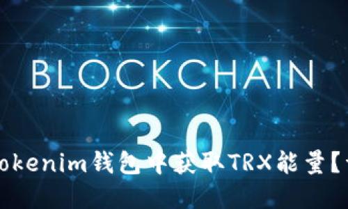如何在Tokenim钱包中获取TRX能量？详细指南