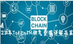 优质2023年TokenIM燃气费用详解及策略