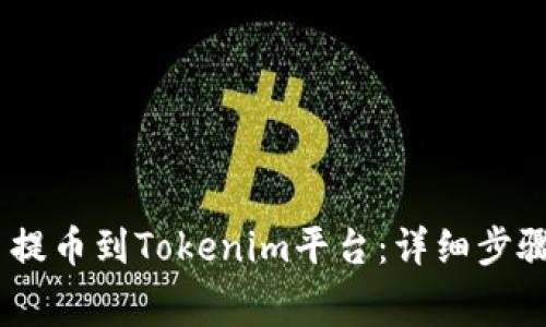 如何将Pig币提币到Tokenim平台：详细步骤与注意事项
