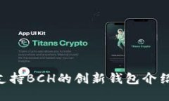 Tokenim: 支持BCH的创新钱包介绍与使用指南