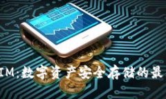 TokenIM：数字资产安全存储的最佳选择