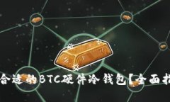 如何选择合适的BTC硬件冷钱包？全面指南与推荐