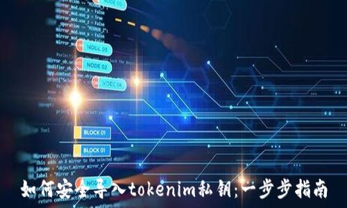   
如何安全导入tokenim私钥：一步步指南