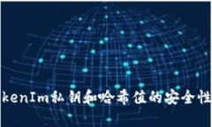 深入解析TokenIm私钥和哈希值的安全性及应用案例