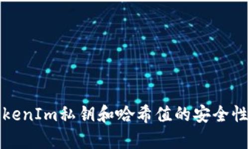 深入解析TokenIm私钥和哈希值的安全性及应用案例