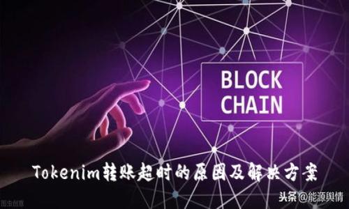 Tokenim转账超时的原因及解决方案