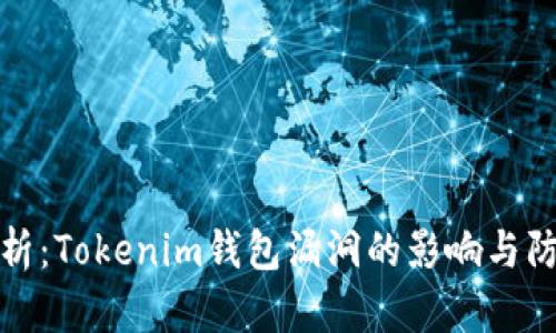 深度剖析：Tokenim钱包漏洞的影响与防范措施