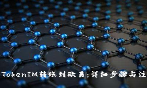 如何将TokenIM转账到欧易：详细步骤与注意事项