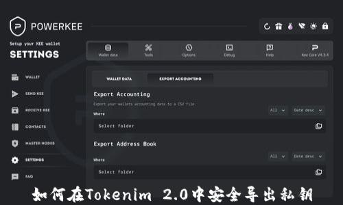 
如何在Tokenim 2.0中安全导出私钥