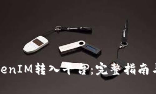 如何将TokenIM转入平台：完整指南与注意事项