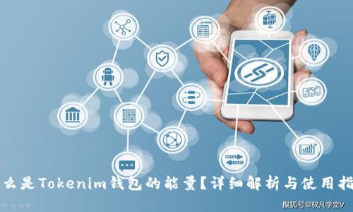 什么是Tokenim钱包的能量？详细解析与使用指南