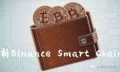 虚拟币BSC：深入解析Binance Smart Chain网络的特性与
