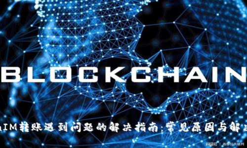 TokenIM转账遇到问题的解决指南：常见原因与解决方案