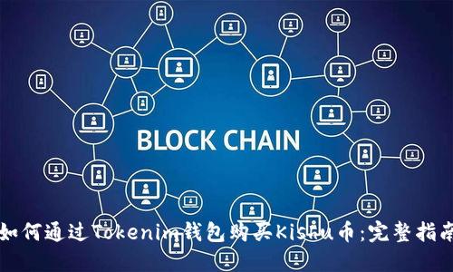 如何通过Tokenim钱包购买Kishu币：完整指南