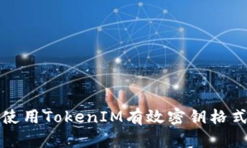 如何理解和使用TokenIM有效密钥格式的完整指南