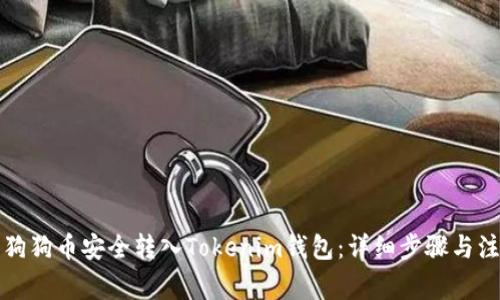 如何将狗狗币安全转入Tokenim钱包：详细步骤与注意事项