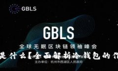 冷钱包存的是什么？全面解析冷钱包的作用与安