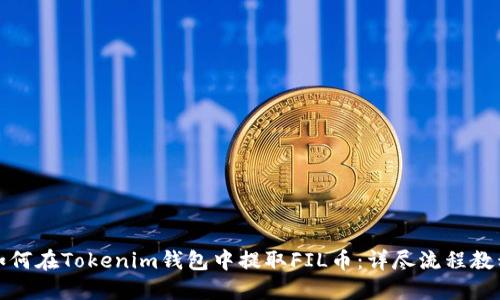 如何在Tokenim钱包中提取FIL币：详尽流程教程
