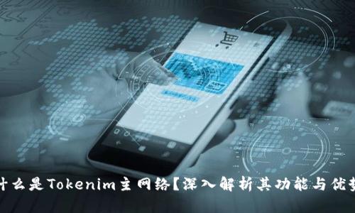 什么是Tokenim主网络？深入解析其功能与优势
