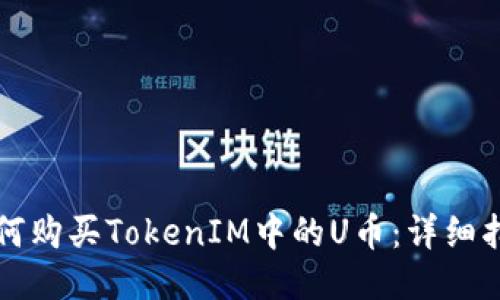 如何购买TokenIM中的U币：详细指南