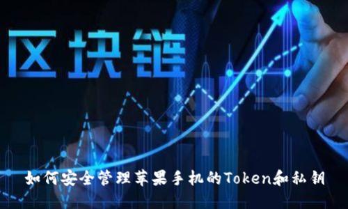如何安全管理苹果手机的Token和私钥