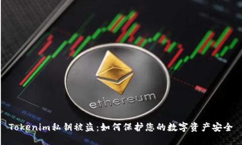Tokenim私钥被盗：如何保护您的数字资产安全