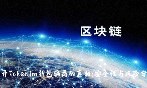揭开Tokenim钱包骗局的真相：安全性与风险分析