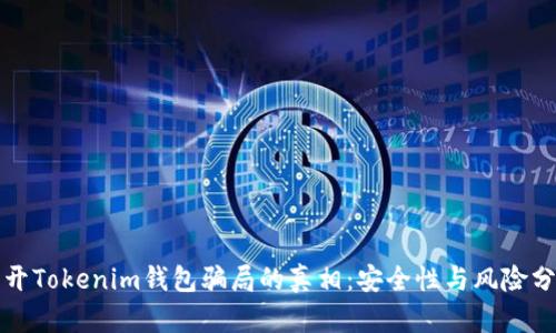 揭开Tokenim钱包骗局的真相：安全性与风险分析