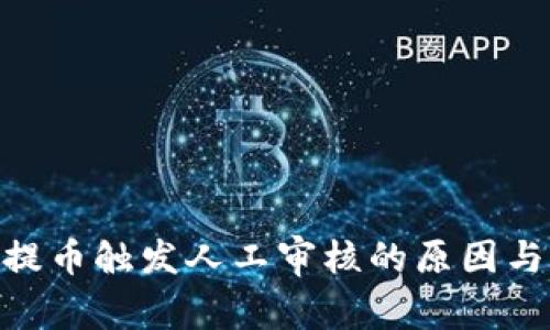 Tokenim提币触发人工审核的原因与解决办法