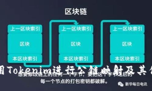如何利用Tokenim进行公链映射及其优势解析
