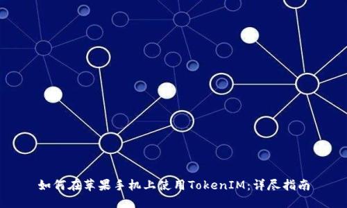 如何在苹果手机上使用TokenIM：详尽指南