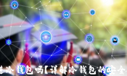 
USDT可以放进冷钱包吗？详解冷钱包的安全性与使用方法