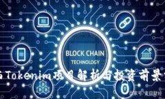 江西Tokenim项目解析与投资前景分析