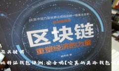 及关键词比特派钱包评测：安全吗？它真的是冷