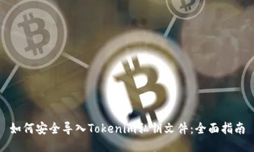 如何安全导入Tokenim私钥文件：全面指南
