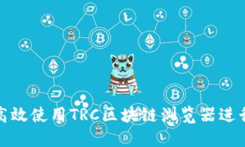 如何高效使用TRC区块链浏览器进行查询