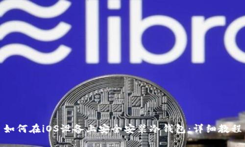 如何在iOS设备上安全安装冷钱包：详细教程