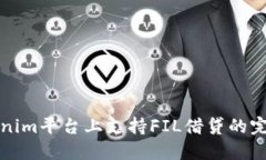 在Tokenim平台上支持FIL借贷的完整指南