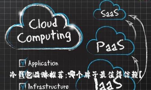 冷钱包品牌推荐：哪个牌子最值得信赖？