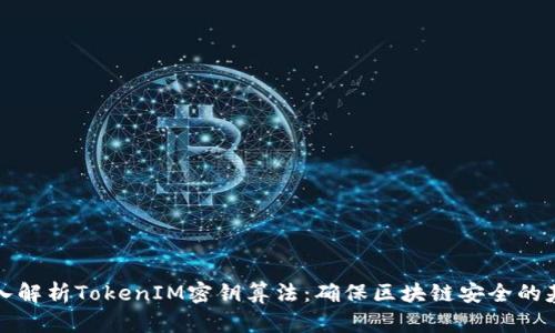 深入解析TokenIM密钥算法：确保区块链安全的基础
