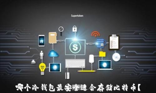 
哪个冷钱包最安全适合存储比特币？
