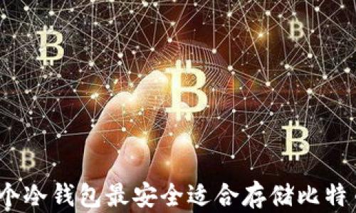 
哪个冷钱包最安全适合存储比特币？